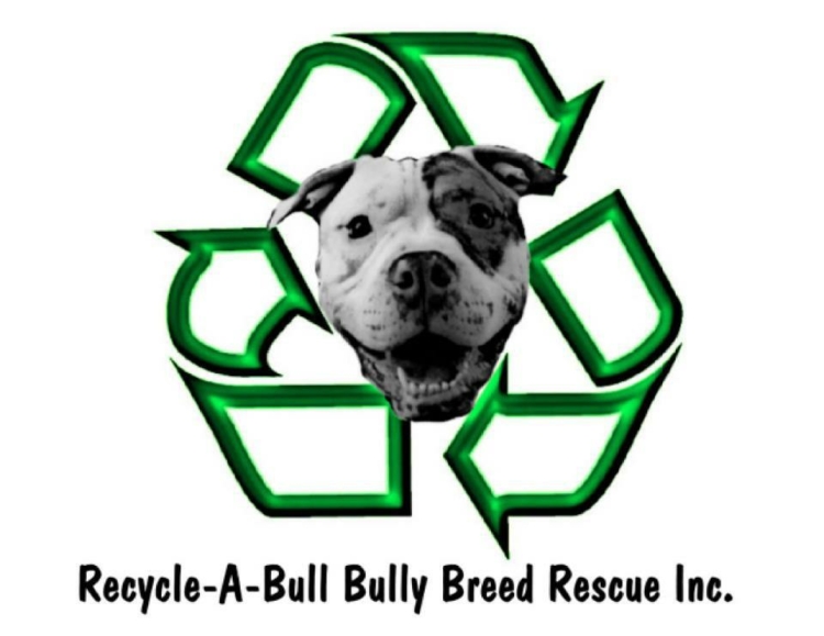 Recycle-A-Bull Bully Breed Rescue CNY Tuesdays